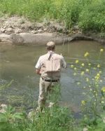 The Driftless Fly Fishing Company