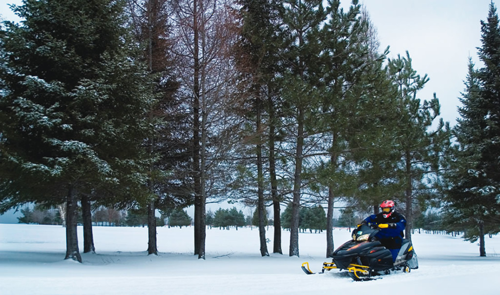 Preston, Minnesota - Trout Capital of Minnesota - Biking, Fishing, Amish Tours, Niagara Cave, Historic Forestville and more!