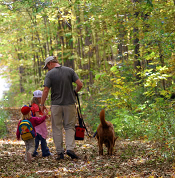 Preston, Minnesota - Trout Capital of Minnesota - Forestville/Mystery Cave State Park