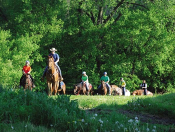 Preston, Minnesota - Trout Capital of Minnesota - Forestville/Mystery Cave State Park