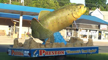preston-fish