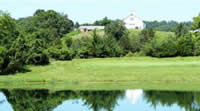 Preston Minnesota - Trout Capital of Minnesota - Bluff Country - Lodging, hotels, Inns, B&B and camping in Preston, MN