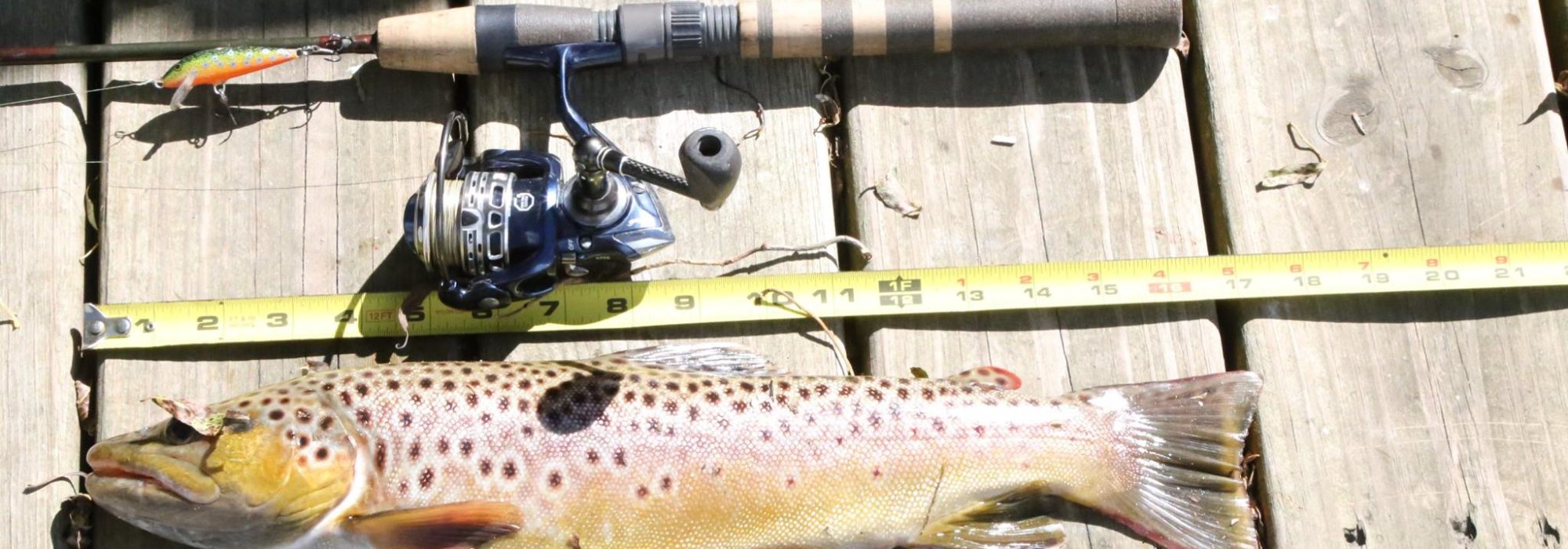 Explore Preston Minnesota