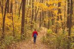 Forestville/Mystery Cave State Park