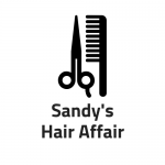 Sandy’s Hair Affair