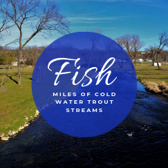 Preston, Minnesota - Trout Capital of Minnesota - National Trout Center